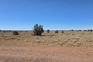 Lot 632 Lazy South Ranch Rd, Concho, AZ 85924 - Photo 25