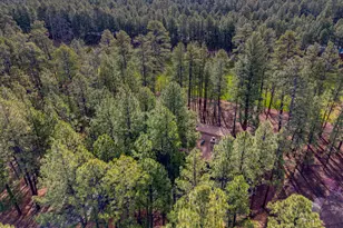 7139 Buck Springs Rd, Pinetop, AZ 85935 - Photo 35
