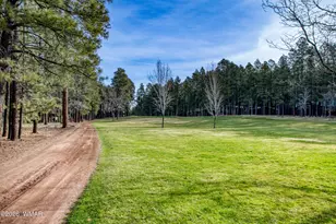 7139 Buck Springs Rd, Pinetop, AZ 85935 - Photo 3