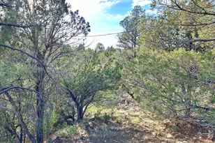 3403 Top View Rd, Overgaard, AZ 85933 - Photo 19