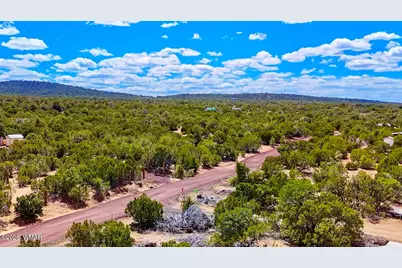 15 County Road, Vernon, AZ 85940 - Photo 5
