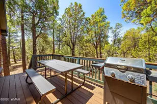 86 Bear Hunter Rd, Lakeside, AZ 85929 - Photo 21