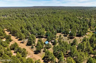 1320 Elk Dr, Forest Lakes, AZ 85931 - Photo 39