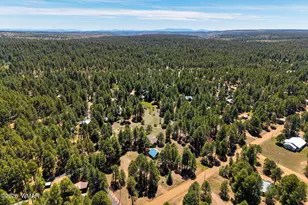 1320 Elk Dr, Forest Lakes, AZ 85931 - Photo 41