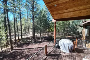 4622 Mountain Gate Cir, Lakeside, AZ 85929 - Photo 29