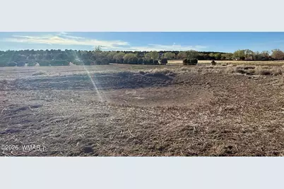 217 N Poverty Flat, Eagar, AZ 85925 - Photo 41