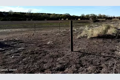 217 N Poverty Flat, Eagar, AZ 85925 - Photo 45