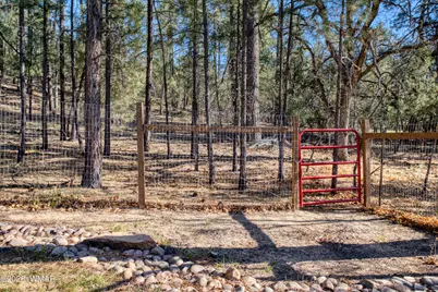 739 W Woodland Lake Road, Lakeside, AZ 85929 - Photo 45