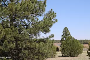 1461 N 26th Dr, Show Low, AZ 85901 - Photo 11