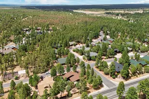 2951 W Alpine Rdg Rd, Show Low, AZ 85901 - Photo 47