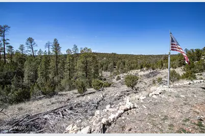 1740 Eskimo Lane, Heber, AZ 85928 - Photo 1