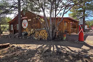 5 County Road 2031 (Pine Lane), Nutrioso, AZ 85932 - Photo 43