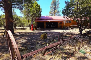 5 County Road 2031 (Pine Lane), Nutrioso, AZ 85932 - Photo 41