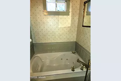 5 County Road 2031 (Pine Lane), Nutrioso, AZ 85932 - Photo 19