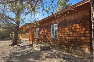 5 County Road 2031 (Pine Lane), Nutrioso, AZ 85932 - Photo 43