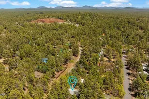 5801 Apache Trail, Pinetop, AZ 85935 - Photo 39
