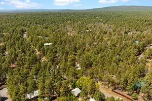 5801 Apache Trail, Pinetop, AZ 85935 - Photo 35