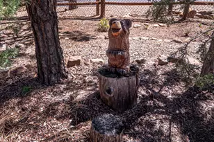 4670 W Cottage Loop, Show Low, AZ 85901 - Photo 43