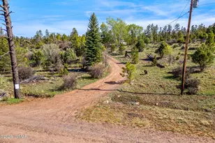 1841 Pine Cone Rd, Heber, AZ 85928 - Photo 45