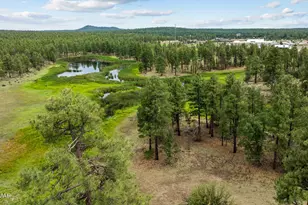 1250 Walnut Crk Trl, Lakeside, AZ 85929 - Photo 63