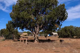 61 Blue Diamond Acr 5525, Concho, AZ 85924 - Photo 35