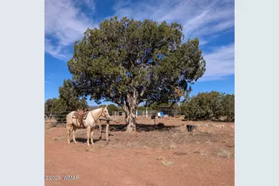 61 Blue Diamond Acr 5525, Concho, AZ 85924 - Photo 39