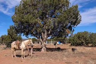 61 Blue Diamond Acr 5525, Concho, AZ 85924 - Photo 39