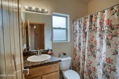 5370 S Morgan Mountain Drive, Show Low, AZ 85901 - Photo 15