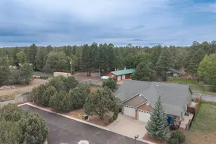 5370 S Morgan Mountain Dr, Show Low, AZ 85901 - Photo 3