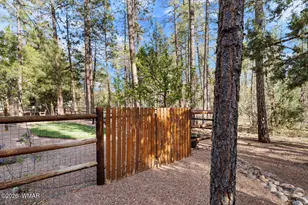 513 W Redwood Ln, Pinetop, AZ 85935 - Photo 49