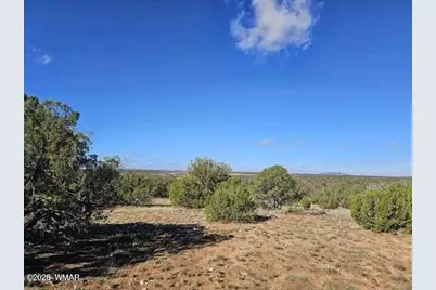 1725 McAllister Avenue, Heber, AZ 85928 - Photo 1