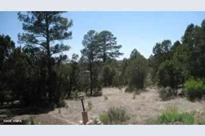 [Address not provided], Overgaard, AZ 85933 - Photo 1