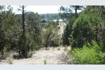 [Address not provided], Overgaard, AZ 85933 - Photo 3