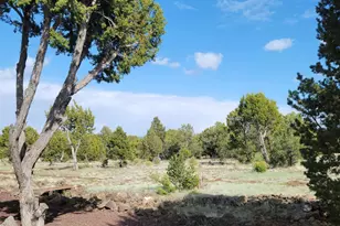 10 N3164, Vernon, AZ 85940 - Photo 11