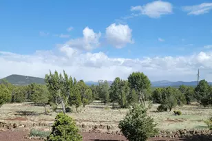 10 N3164, Vernon, AZ 85940 - Photo 9