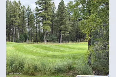 1600 S Vine Maple Lane, Show Low, AZ 85901 - Photo 45
