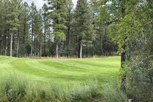1600 S Vine Maple Ln, Show Low, AZ 85901 - Photo 45