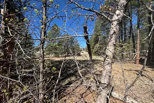 2331 Homestead Rd, Lakeside, AZ 85929 - Photo 25