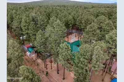 1392 S Forest Lane, Pinetop, AZ 85935 - Photo 5