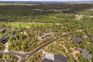 3060 W Snowberry Loop, Show Low, AZ 85901 - Photo 57