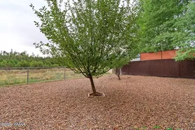 2200 W Park Valley Road, Show Low, AZ 85901 - Photo 25