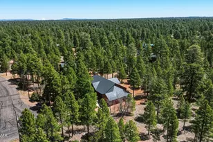 2505 Arapaho Dr, Happy Jack, AZ 86024 - Photo 41