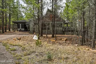 4449 Star Shine Cir, Happy Jack, AZ 86024 - Photo 3