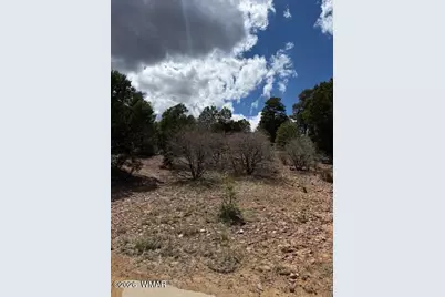 600 Angelas Place, Show Low, AZ 85901 - Photo 3