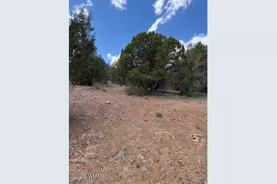 580 Angelas Place, Unit Lot 7 #LOT 7, Show Low, AZ 85901 - Photo 3