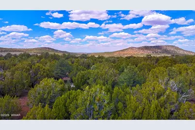 52 County Road 3198, Vernon, AZ 85940 - Photo 9