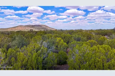 52 County Road 3198, Vernon, AZ 85940 - Photo 15