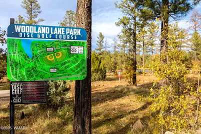 5145 Drifting Snow Loop, Pinetop, AZ 85935 - Photo 37