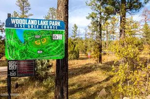 5145 Drifting Snow Loop, Pinetop, AZ 85935 - Photo 37