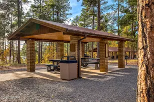 5145 Drifting Snow Loop, Pinetop, AZ 85935 - Photo 35